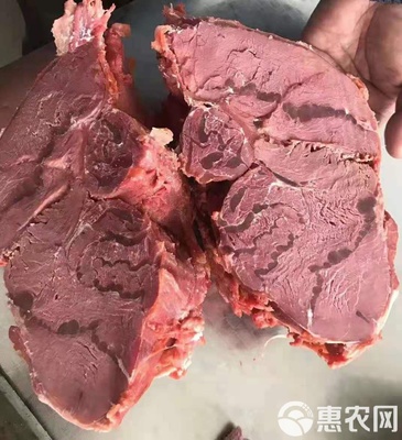 牛肉類(lèi) 牛羊肉,牛羊肉副產(chǎn)品批發(fā)牛龜腱子肉